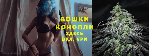 ПСИЛОЦИБИНОВЫЕ ГРИБЫ Верея