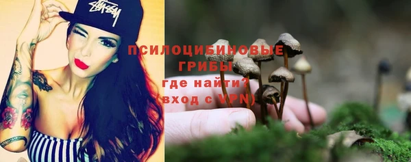 ПСИЛОЦИБИНОВЫЕ ГРИБЫ Верея