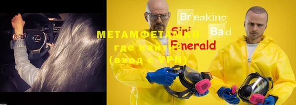 ПСИЛОЦИБИНОВЫЕ ГРИБЫ Верея