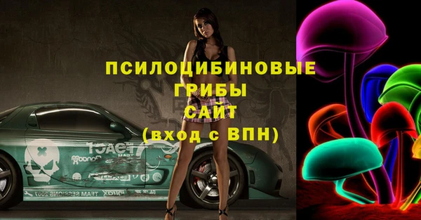 ПСИЛОЦИБИНОВЫЕ ГРИБЫ Верея