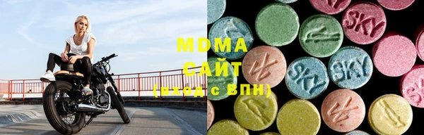 ПСИЛОЦИБИНОВЫЕ ГРИБЫ Верея
