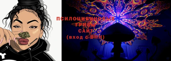 ПСИЛОЦИБИНОВЫЕ ГРИБЫ Верея